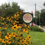 black eyed susans with a sign